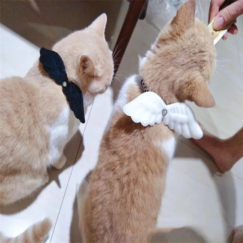 

Interesting Cosplayangel wings cat dog pet collar necklace traction cat dog supplies cat accessories