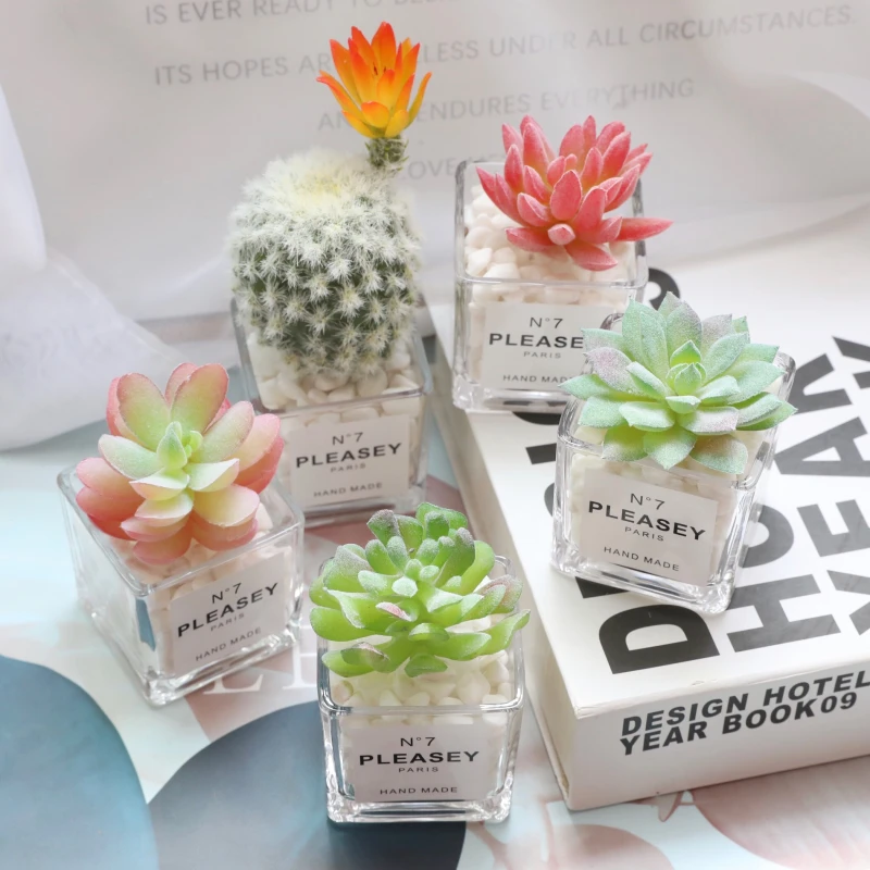 

2021 New Style Indoor Table Decorate Small Potted Plant Cute Artificial Flower Artificial Plant Simple Simulated Cactus Desk Dec