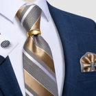 Мужской галстук в полоску цвета шампанского и золотого цвета, деловой Свадебный комплект с галстуком-бабочкой, запонки с квадратным карманом и кольцом для галстука, мужской подарок DiBanGu