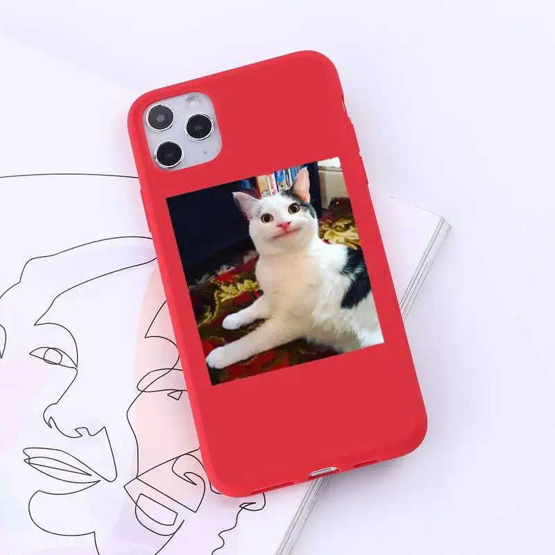 

Cute animal cat art design painting lovely Phone Case Candy Color for iPhone 6 7 8 11 12 s mini pro X XS XR MAX Plus