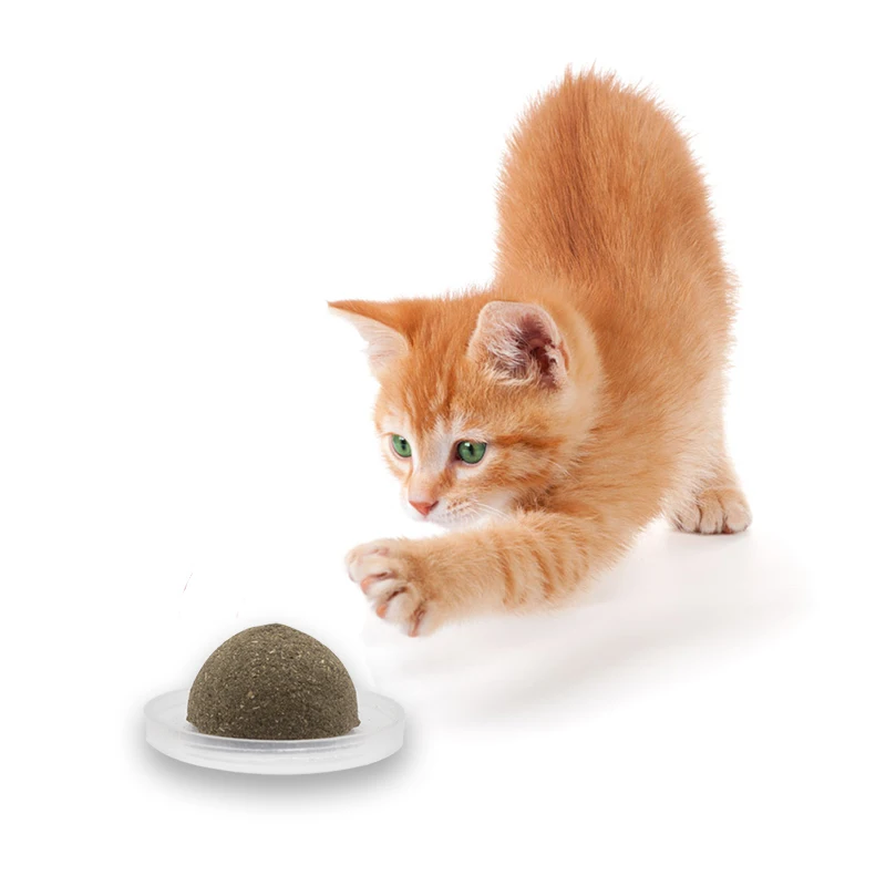 

Игрушка С Кошачьей Мятой для взрослых кошек для VIP