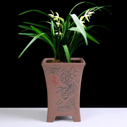 Фиолетовый песок Керамика квадратный бонсай бассейна Орхидея цветок Clivia горшок