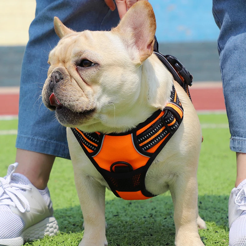 

Pet Traction Rope Dog Strap Dog Collar Spring And Summer Vest Type Dog Traction Rope Safety Reflective Strip Pet Supplies