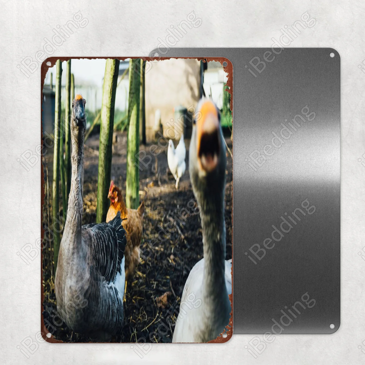 

Злой гусь, металлическая фотография, панель, паб, клуб, Настенный декор, железная живопись, декоративная пластина 20x30 см