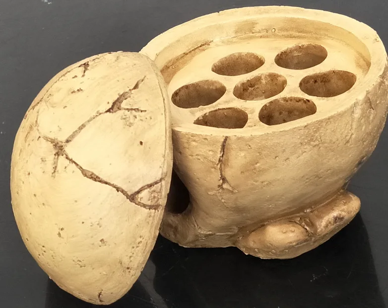 1 шт. жесткая полимерная чашка для татуировок типа черепа/колпачки-держатели