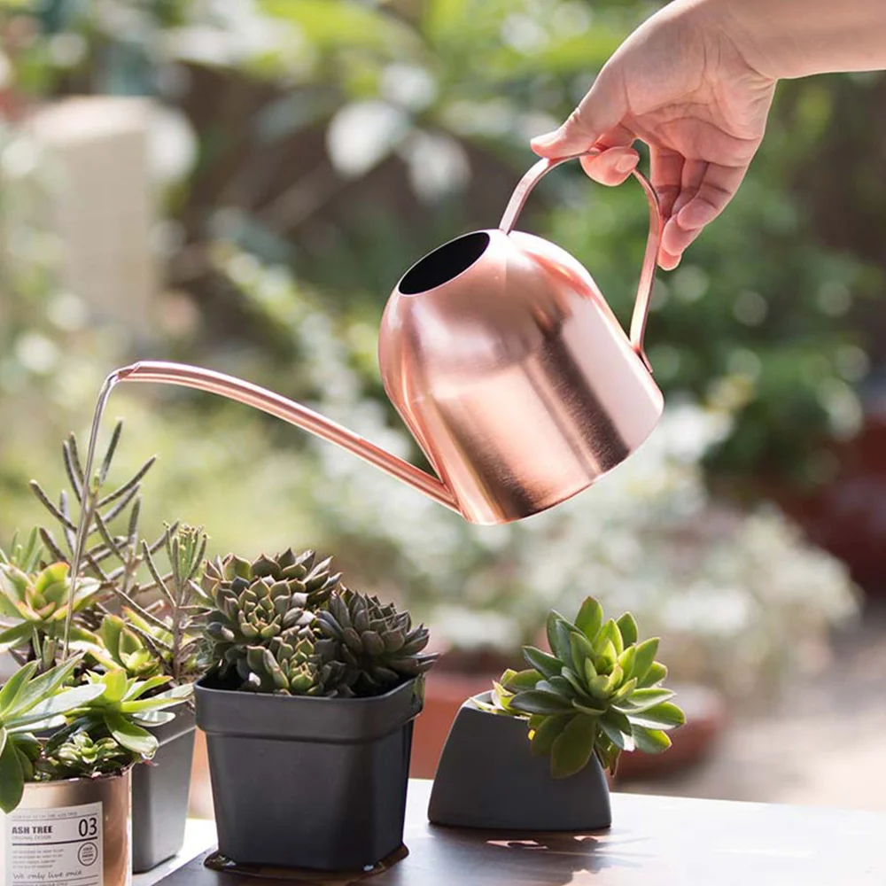 

500ML Metal Watering Can Garden Flower Watering Bottle Stainless Steel Pot With Long Spout For Bonsai Indoor Plants
