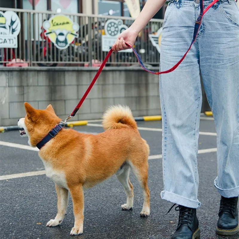Поводок для собак средний и маленький собачий ошейник поводок плюшевый