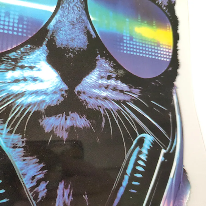 Модная уличная икона для женщин и мужчин одежда 350 мм музыкальный Кот