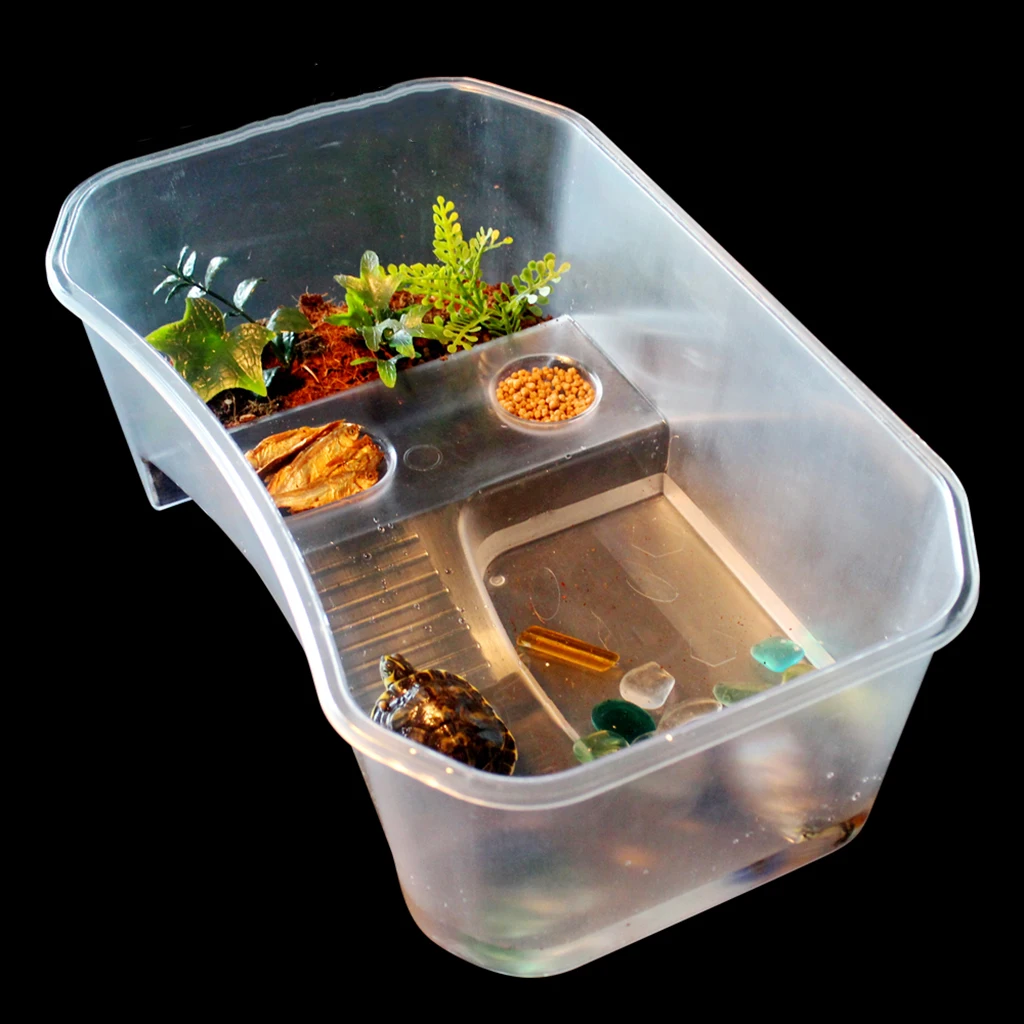 

Reptiles Amphibians Turtle Tank Vivarium Feeding Box with Basking Ramp