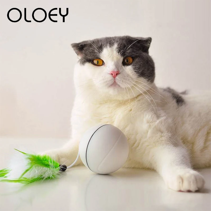 USB Перезаряжаемый Электрический прокатный мяч игрушки для кошек Интерактивный Лазерный магический шар, игрушка с лазерным светильник держать вашего питомца занят