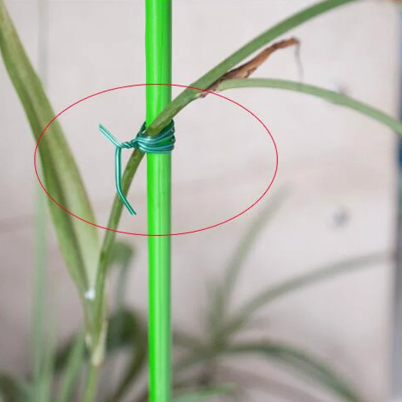 100 шт. зеленые садовые фиксаторы для подъема винограда и растений кабельные