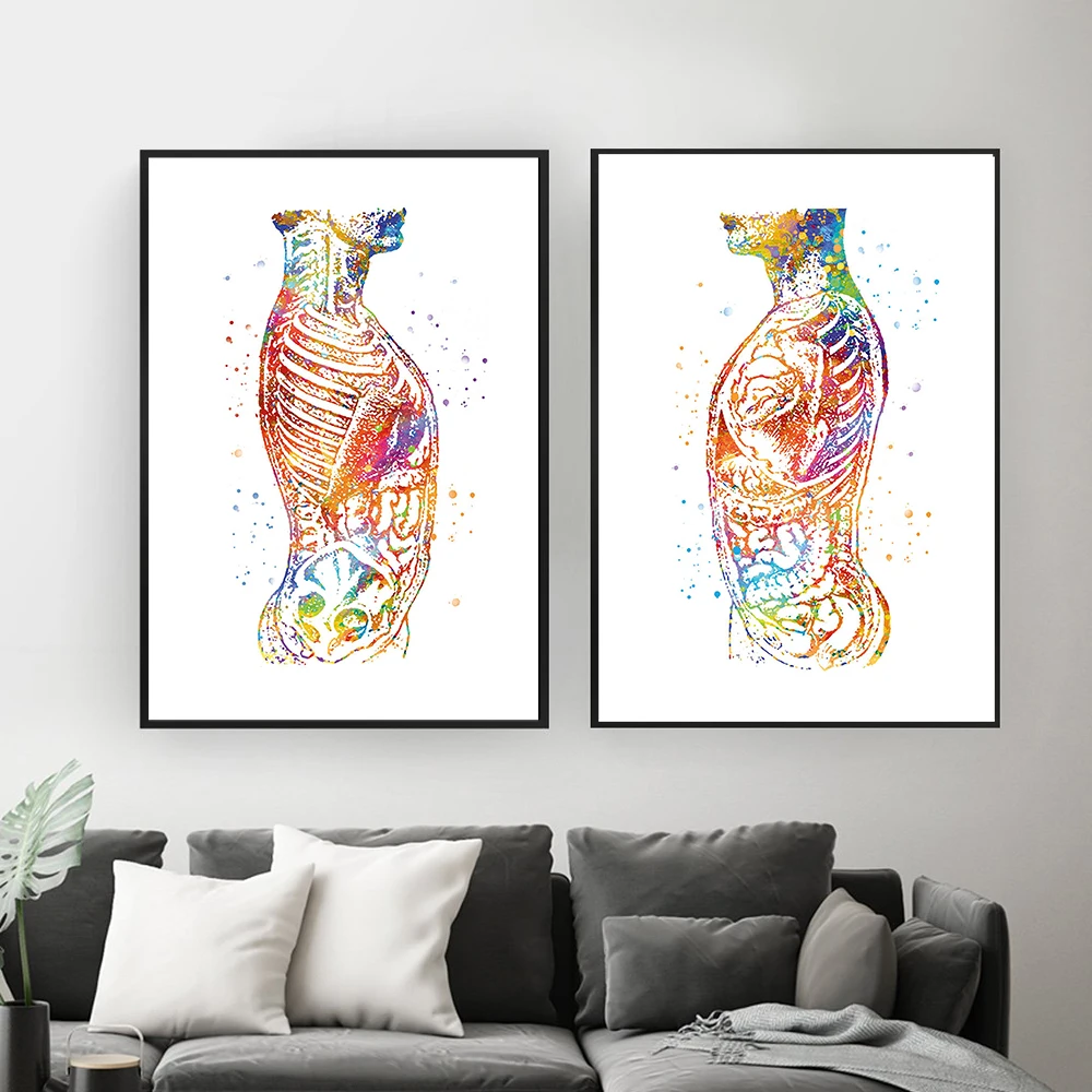 

Anatomy Human Body Abdomen Clinical Medical Nordic Poster Wall Art Canvas Painting Wall Pictures For Living Room Unframed