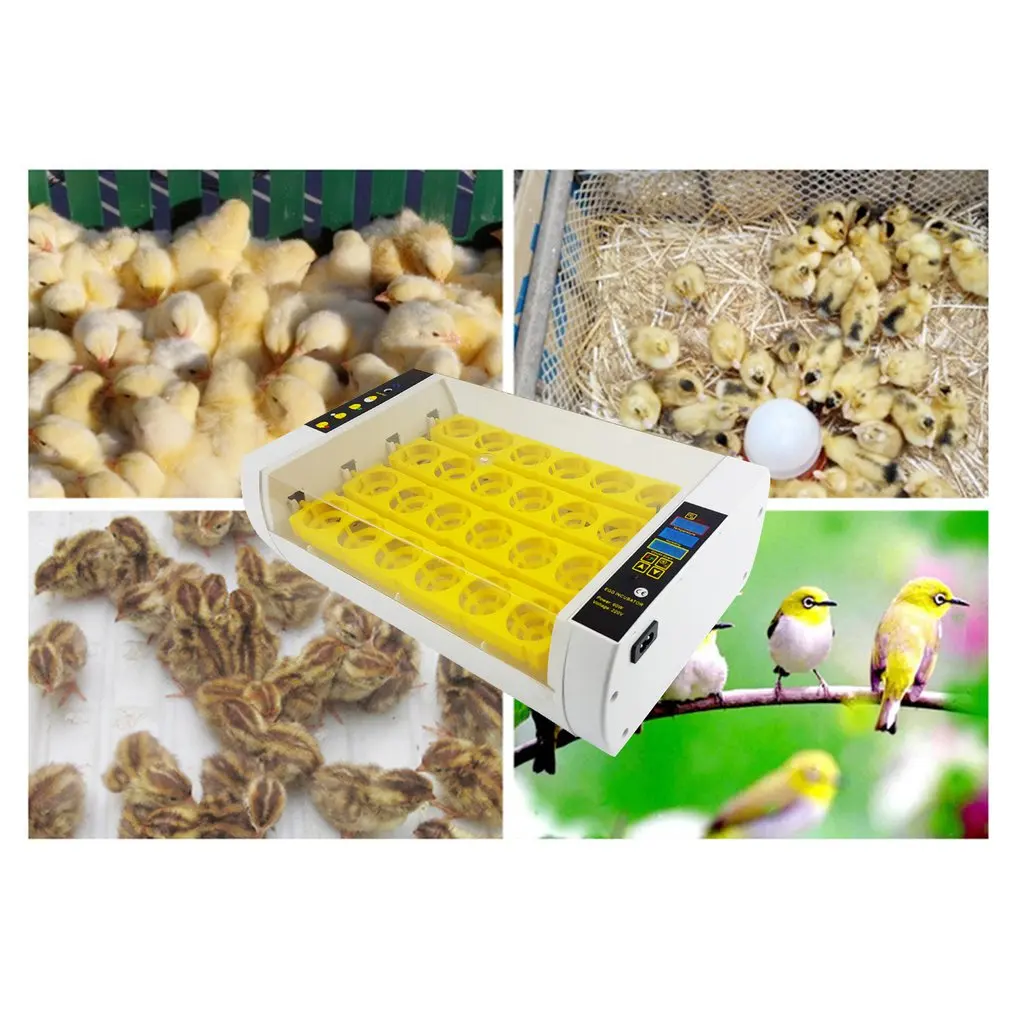 

Newest Farm 24 egg incubator Automatic Chicken Egg Duck Quail Incubator Hatchery Poultry Brooder Equipment