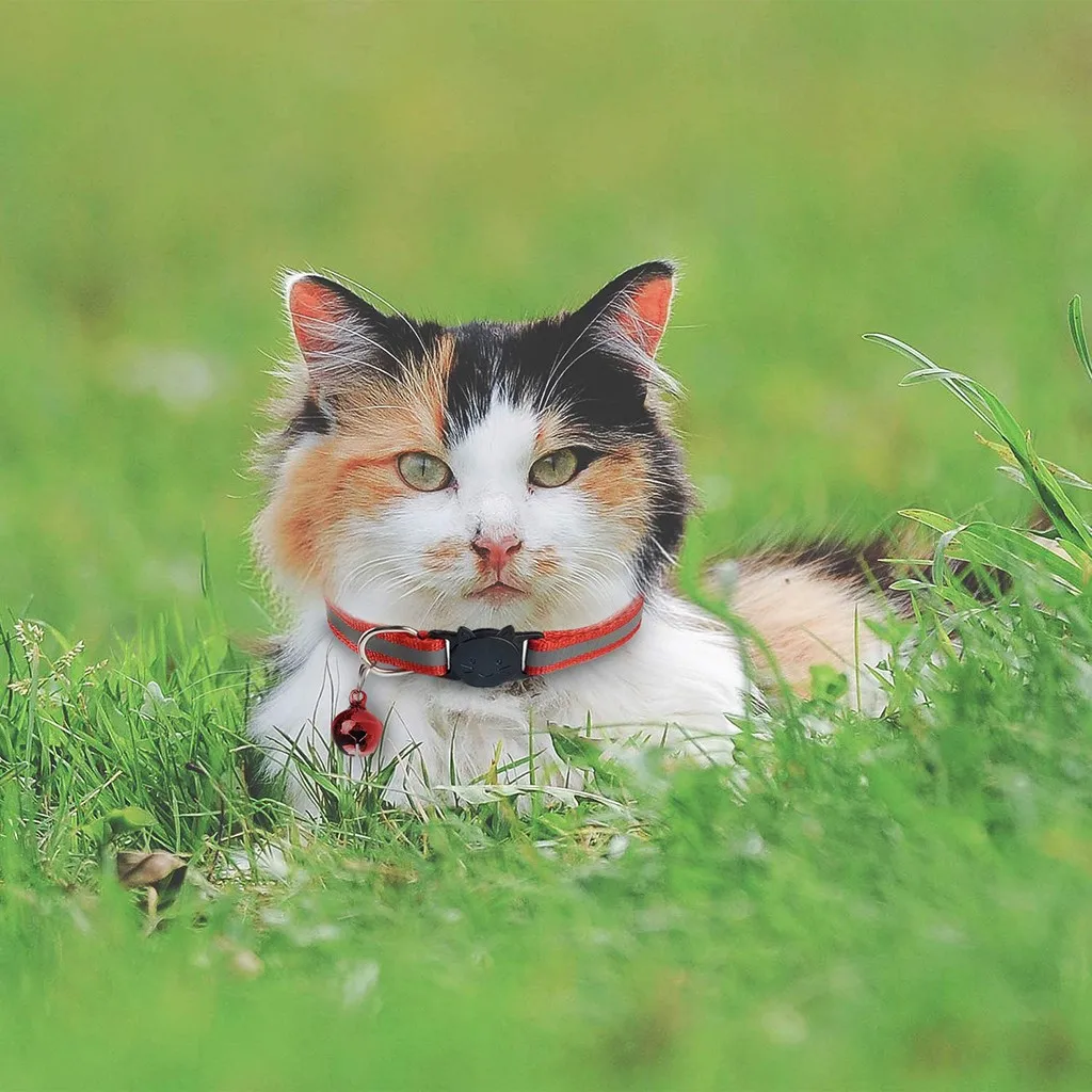 Хит! ошейник для домашних животных с колокольчиками милые маленькие следы