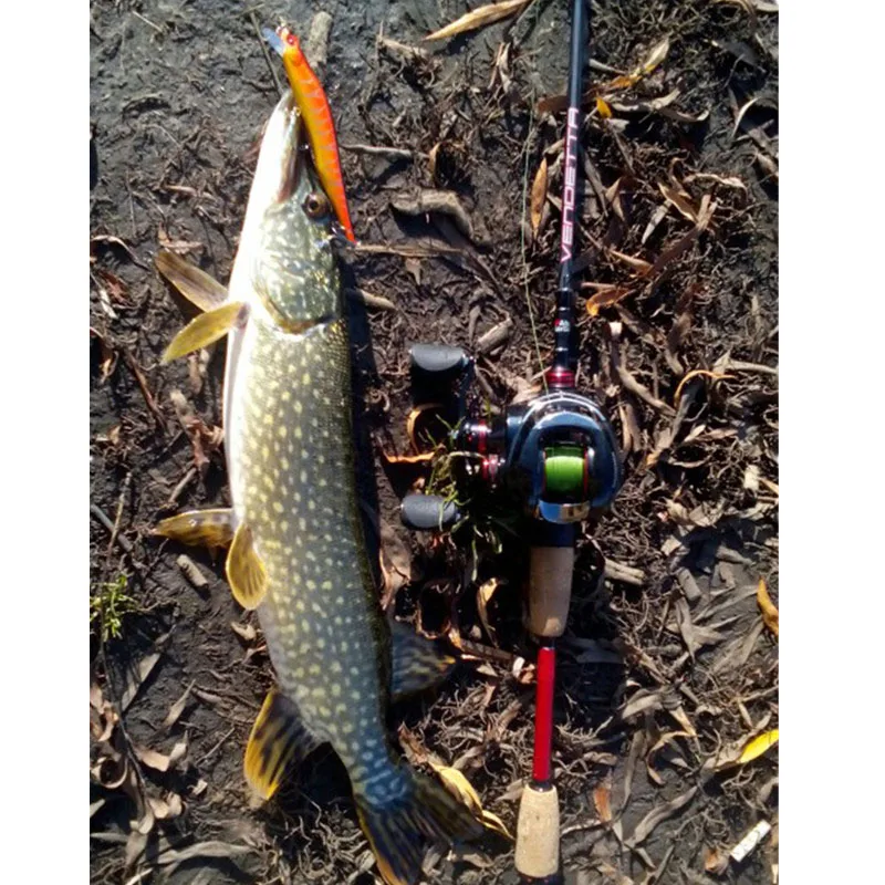 

73pcs Wobbler Fishing Lure Black Minnow Popper Crankbait Pike Carp Salmon Artificial Bait Fish Hook Fishing Accessories Tools D