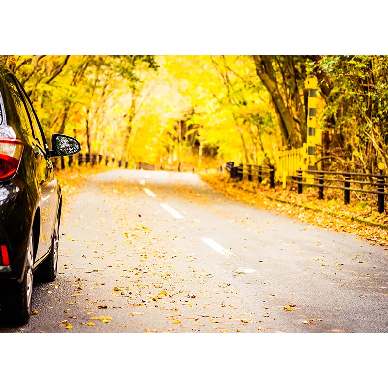 

SHENGYONGBAO Vinyl Custom Photography Backdrops Road Scenery Theme Photography Background 20213RD-05