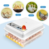 36 automatic egg incubator with egg turning with led candlertemperature control digital incubators breeder for hatching turkey