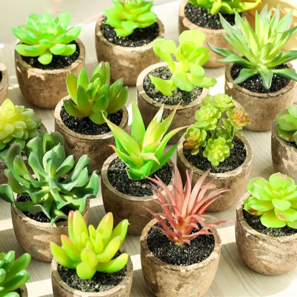 

Green Artificial Plants with Pot Simulation Succulents Mini Bonsai Potted Fake Plants Home Garden Living Room Desktop Decoration