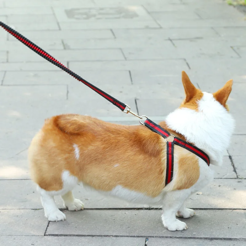 

Pet supplies dogs slow Okinawa elastic telescopic anti burst traction rope walking the dog chain straps