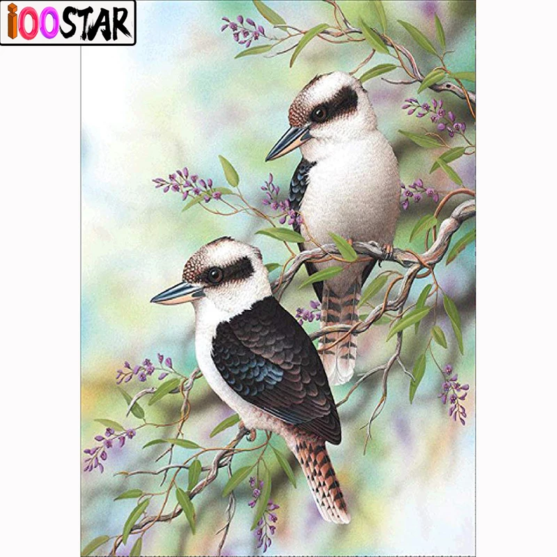 5D Diy Алмазная вышивка Kookaburras птицы полный квадратный/круглый бриллиант крестом