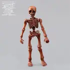 C5AA подвижный мистер Кости Скелет человека модель черепа полный тело фотография Хэллоуин