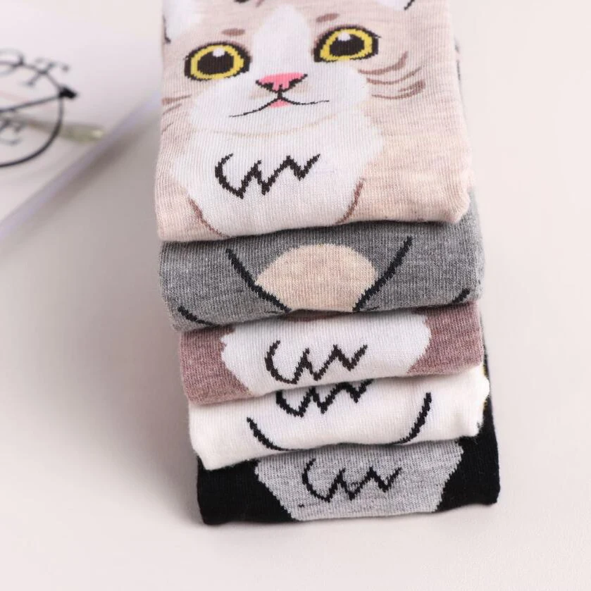 MYORED 5pairs women socks cute funny cat style fashion autumn winter funny socks short ankle sock for girls woman casual dress