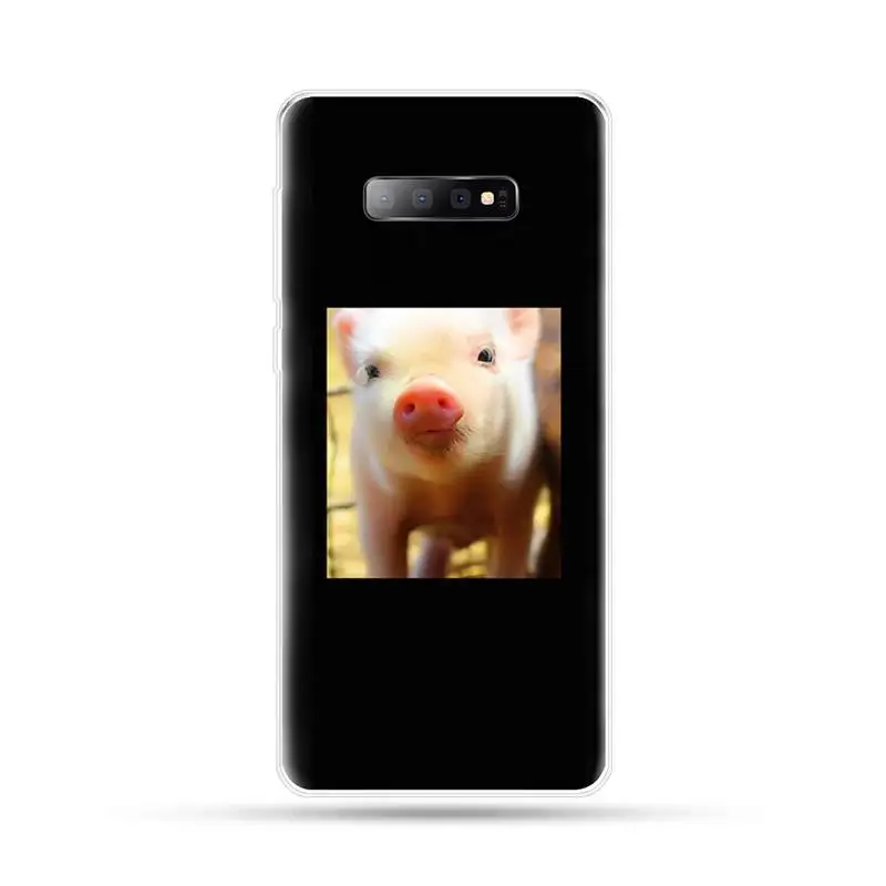 

Animal Cute Little Pink Pet Pig Phone Case For Samsung Galaxy S5 S7 S8 S9 S10 S10e S20 edge plus lite