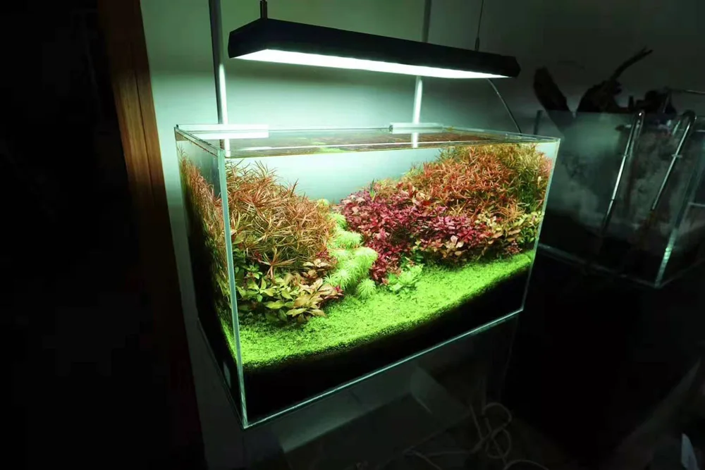 Chihiros RGB VIVID II водная Светодиодная лампа для роста растений приложение bluetooth умный контроллер дистанционного управления аквариума рассвет закат
