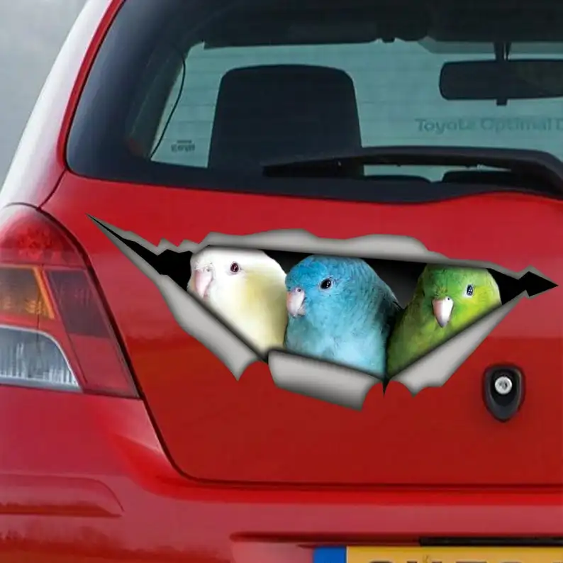 

2021 parakeet car decal, funny car sticker, bird decal, parakeets sticker