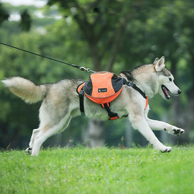 Шлейка-рюкзак для собак жилетка домашних питомцев аксессуар прогулок с щенками |