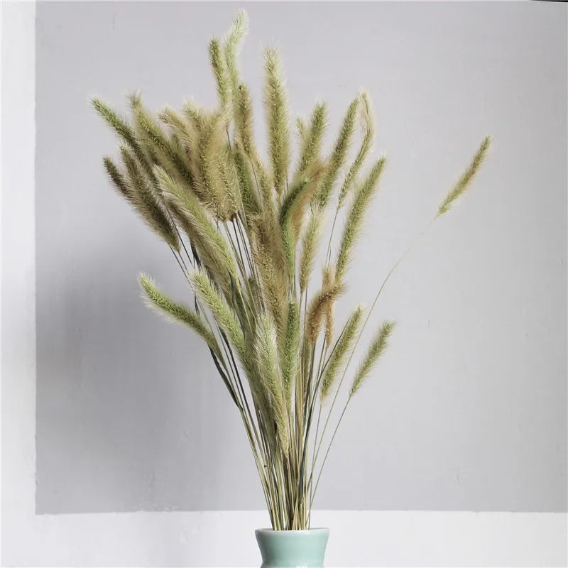 100 шт. Бесплатная доставка букет из высушенной собачьей травы необработанных