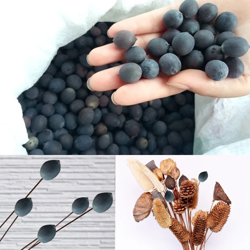 Новые Натуральные Сушеные частицы лотоса пасхальные украшения для дома DIY