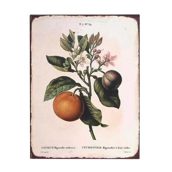 Винтаж ботанический оранжевый жестяная вывеска примитивные страна фермерский