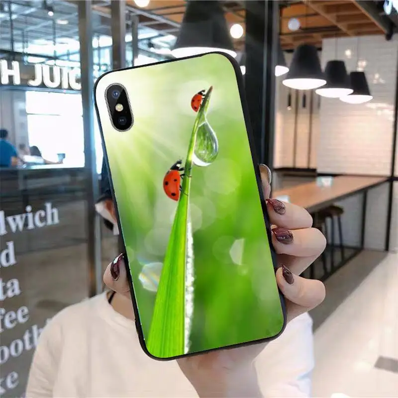 

four leaf ladybug daisy Phone Case for iPhone 11 12 pro XS MAX 8 7 6 6S Plus X 5S SE 2020 mini