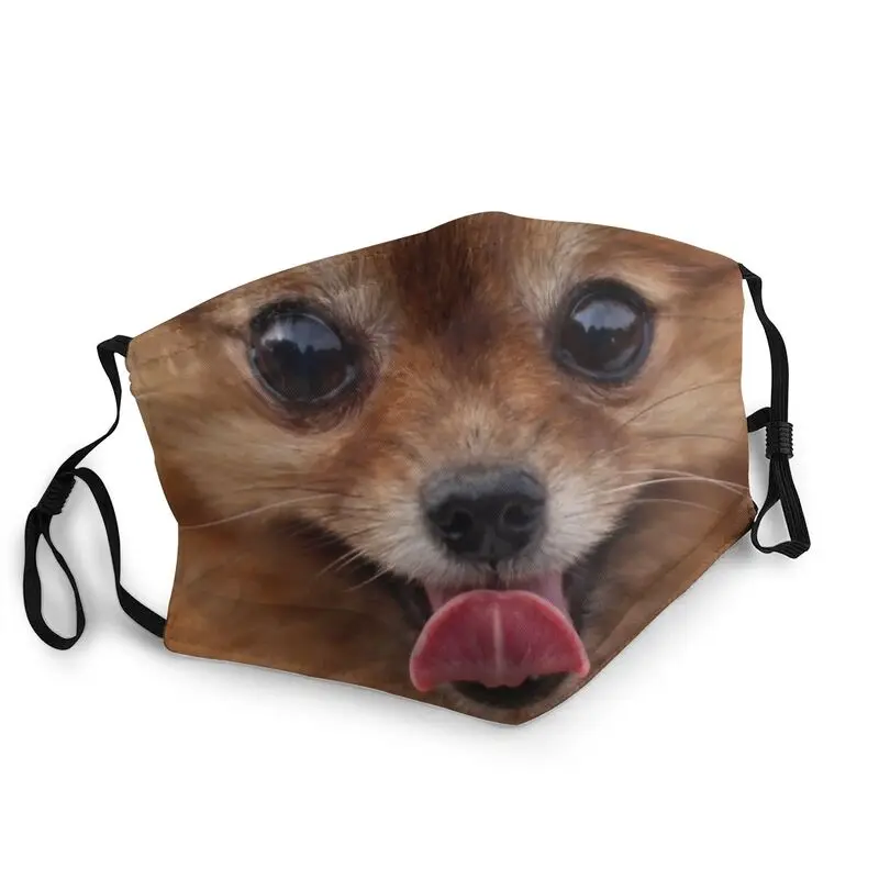 

Маска для лица неодноразовая забавная Померанская, респиратор для защиты от пыли у щенков и животных, маска для рта