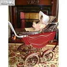 5D DIY Алмазная картина ребенок в коляске вышивка 100% Полный алмаз вышивка крестом Стразы мозаичная декоративная картина Диамант