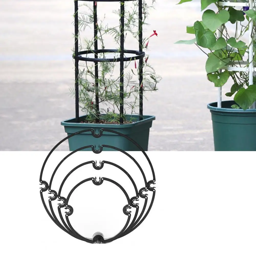 

Climbing Plant Rack Resuable Good Toughness Black Stand Flower Holder for Viper