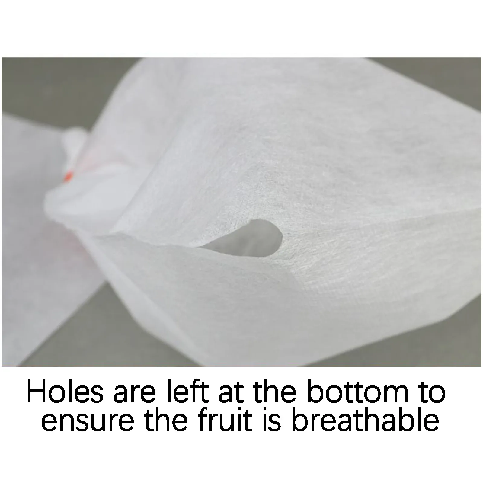 

2021 Accessories Gardening 100pc Garden Plant Fruit Protect Drawstring Net Bag Mesh Against Insect Bird Greenhouse For Garden