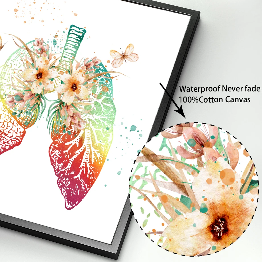 

Colorful Anatomy Brain Heart kidney Breast Wall Art Canvas Painting Nordic Posters And Prints Wall Pictures Doctors Office Decor