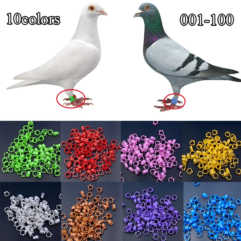 

Numerical Pigeon Foot Ring Bird Supplies Identification Ring Marking Ring Digital Plastic Detachable Opening Pigeon Foot Ring