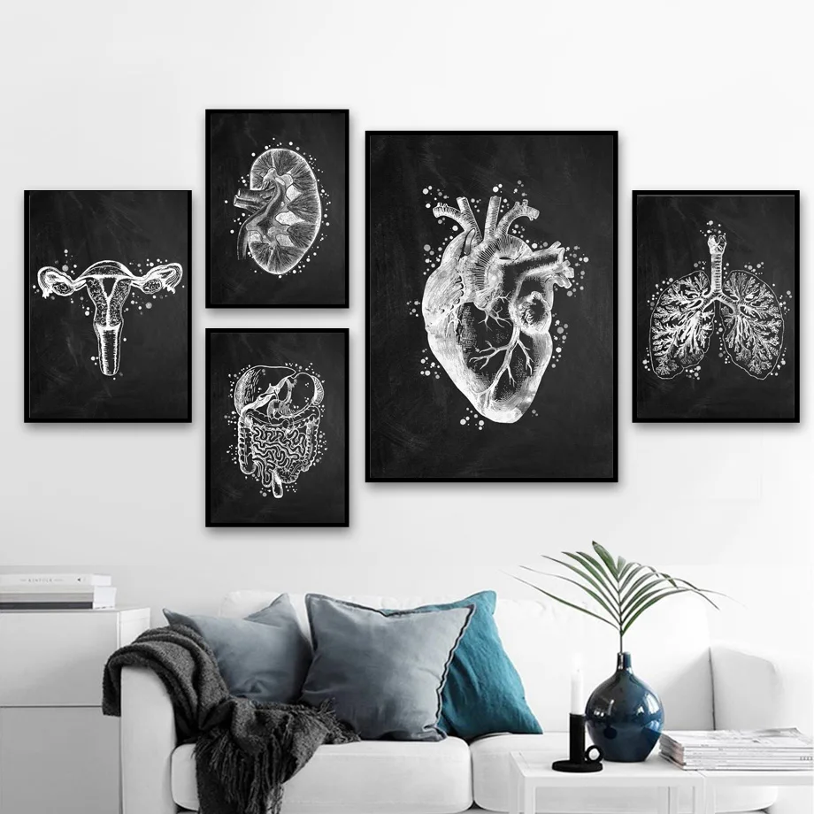 

Anatomy Art Human Heart lung Brain Gut uterus Wall Art Print Canvas Painting For Doctor Office Decor Nordic Poster Wall Pictures