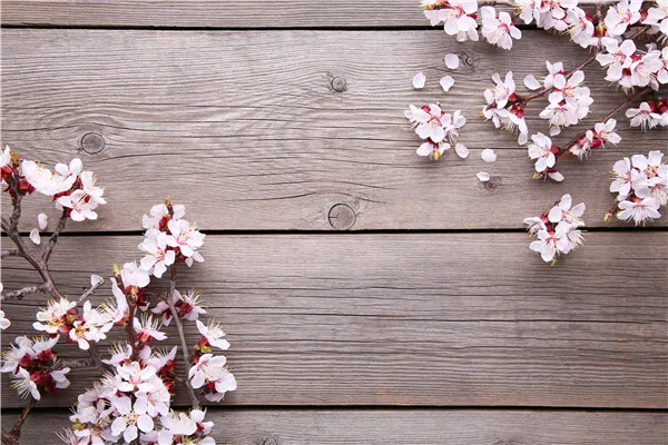 

SHENGYONGBAO Vinyl Custom Photography Backdrops Props Flower and Wood Planks theme Photo Studio Background 20212-22