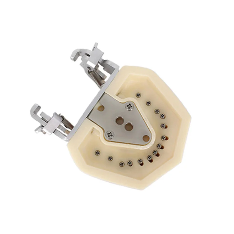 Зубная модель зубной практики резинки для обучения стоматолога обучающий