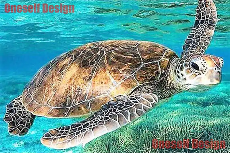 

Топ популярная черепаха 5d алмазная картина полный квадрат/руд 5d алмазная вышивка полный набор животное Рождественское украшение для дома