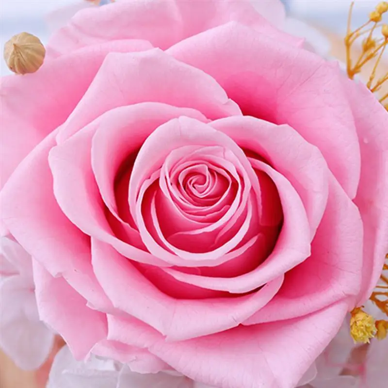 Роза стеклянная крышка вечная роза креативный подарок на день Святого Валентина