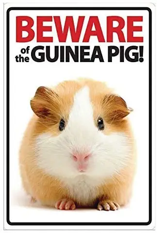 

LZATPD SLALL Beware of The Guinea Pig!Home Retro Street Sign Household Metal Tin Sign Bar Cafe Car Motorcycle Gara