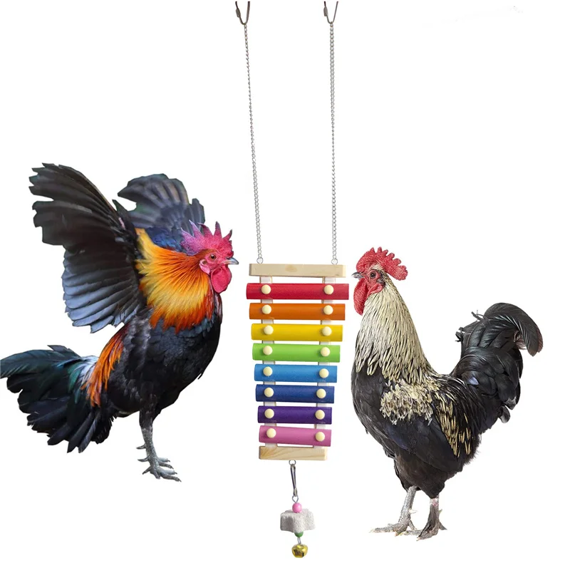

Easy to fix Pet Chickens Toy Medium and Large Parrots Toy Percussion Toy Sound Toy for Hen Chickens House TS2 Durable materials