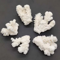 100g real coral decor seabed stone ocean fish tank aquarium decoration photography calcium pieces real sea coral white