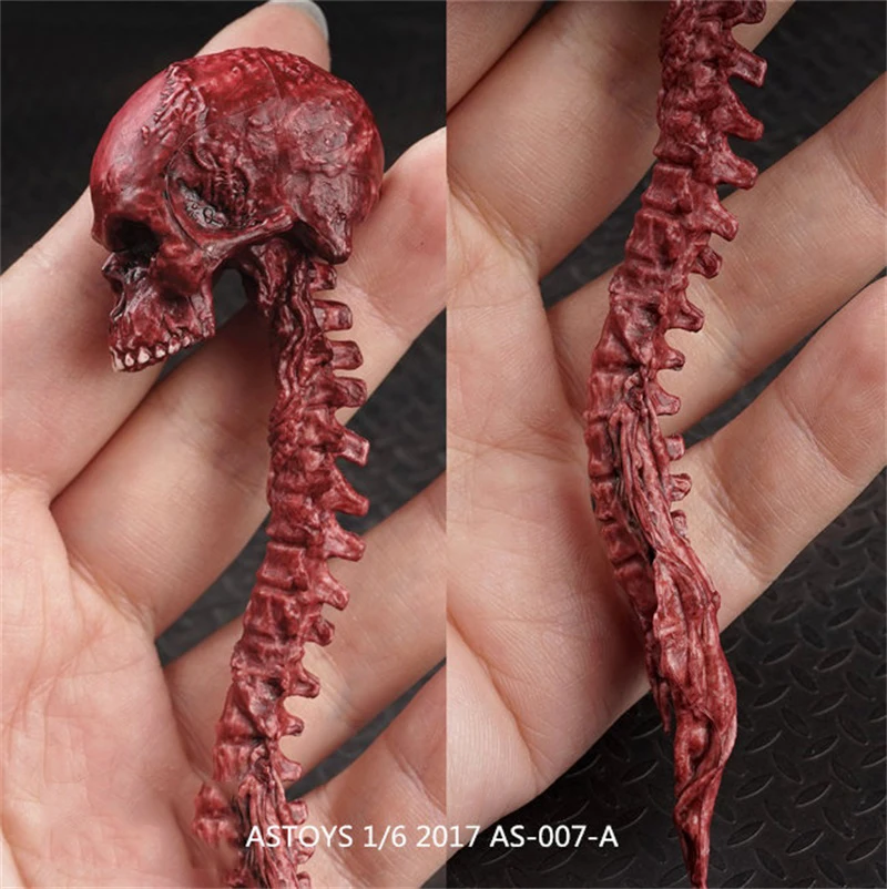 

TOYS 1/6th Soldier Model AS007 Iron-Blooded Alien Skeleton Skull Platform Scene Accessories Non HT For Collection In Stock