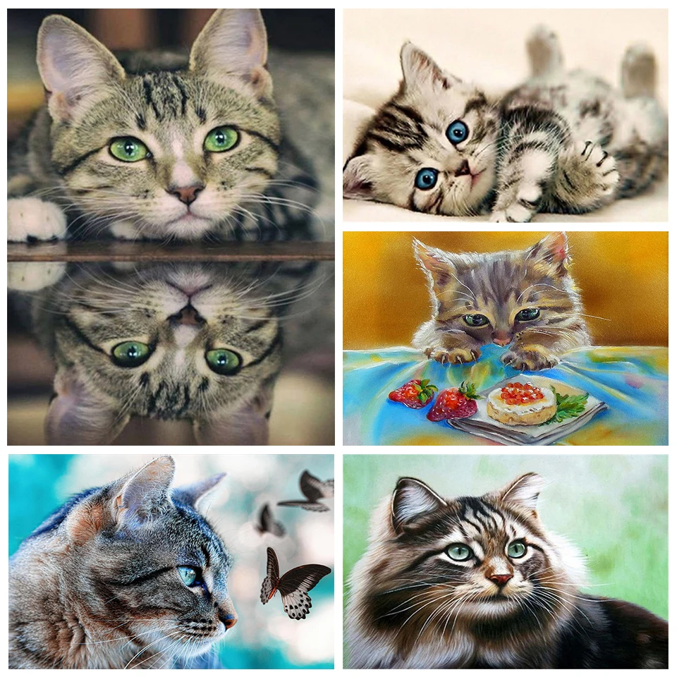 5D алмазная живопись Набор для вышивки крестиком кот вышивка полная выкладка